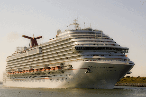 Carnival Dream Bow