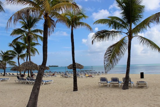 Beachfront area of the Melia. 