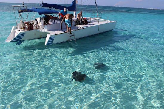 Swimming with the Sting Rays in Grand Cayman.