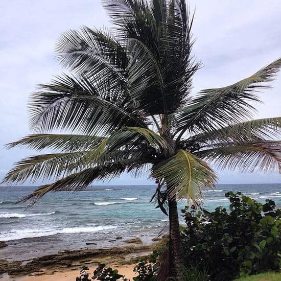 Beaches of San Juan, Puerto Rico.