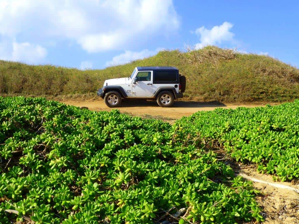 Going off-road is popular on Lanai