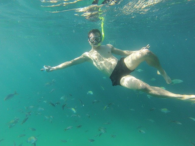 snorkeling 886825 640 1