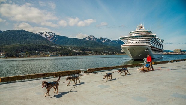 A dog sled team driven by Maliko Ubl from the TEMSCO Helicopters Mendenhall Glacier Dog Sledding Tours and Alaska Icefield Expeditions welcomes the “Ruby Princess” to the port of Juneau during its maiden voyage in Southeast Alaska.