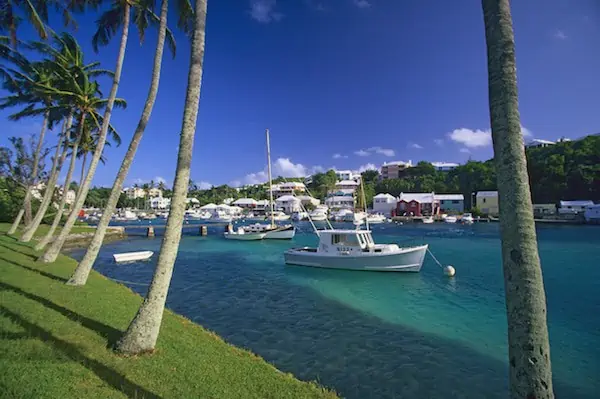 Bermuda, Flatts Inlet, boats and palm trees