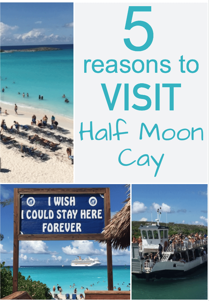 5 Reasons to Visit Half Moon Cay - #carnivalcruise #carnival #carnivalcruiseline #halfmooncay #caribbean #island #cruise #vacation 