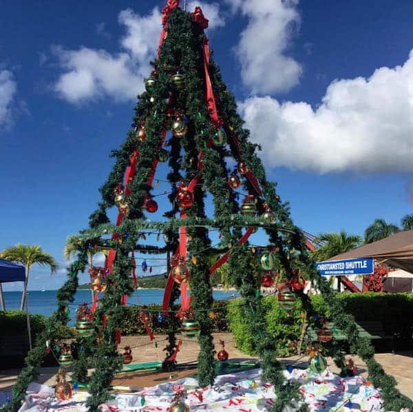 Christmas Tree in St. Croix