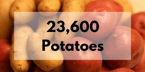 23,600 Potatoes