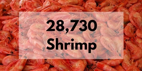 28,730 Shrimp