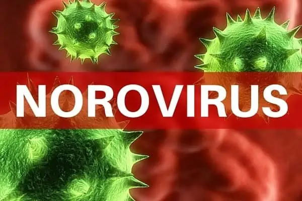 Digital illustration showing several green, spiky spherical particles representing the norovirus. The particles are set against a red background with a red horizontal bar across the center containing the white, bold text 