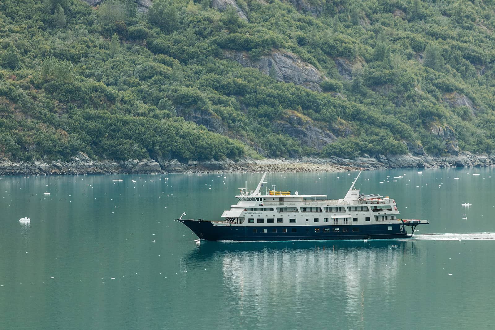 spirit of endeavor glacier bay national park uncruise