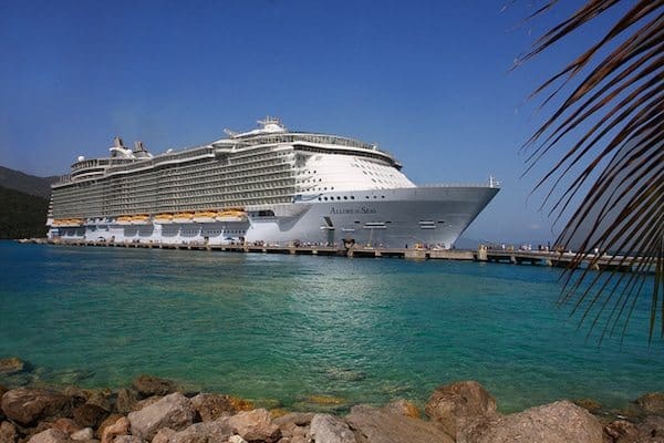 Emotional support animals store on cruise ships