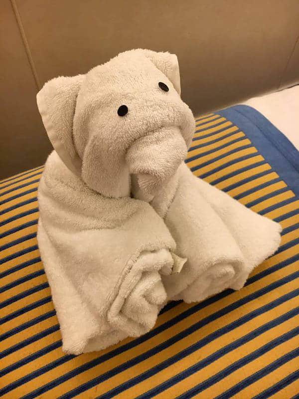 towel animal carnival sunshine