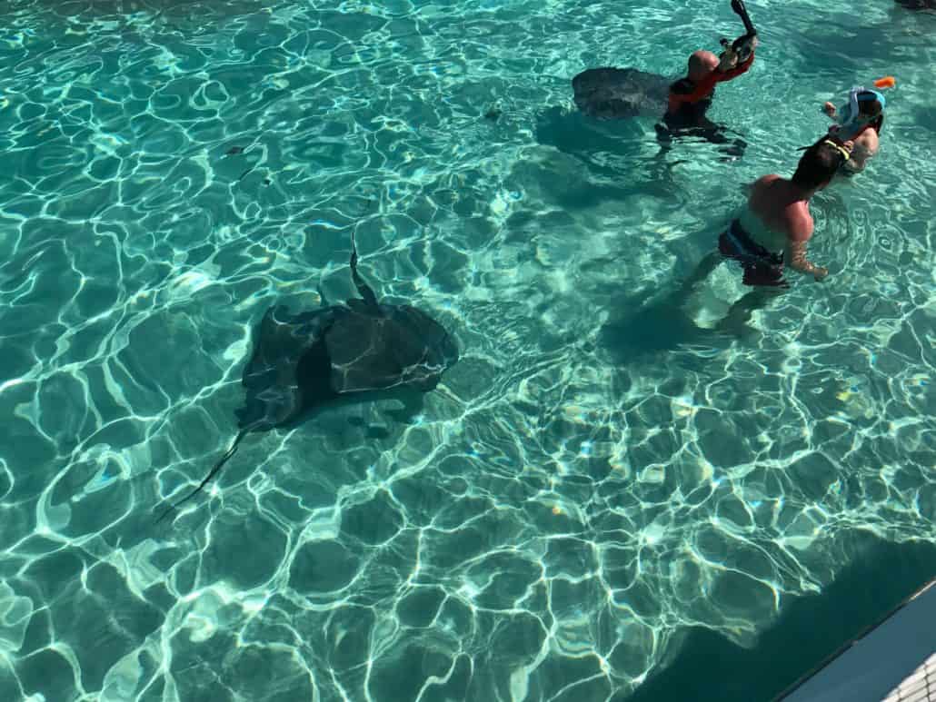 Stingray City