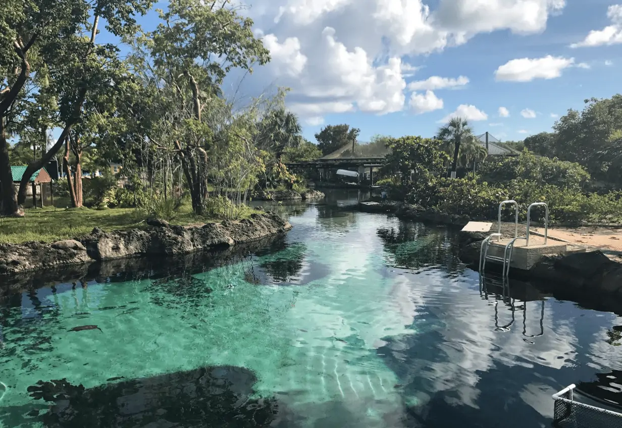 grand cayman turtle centre