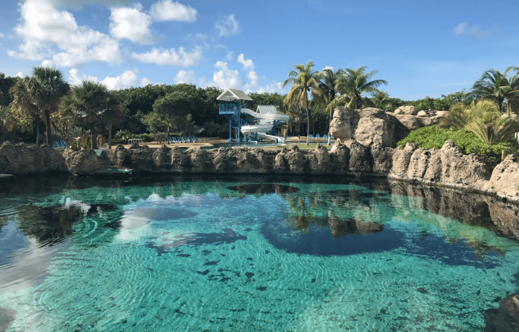 A clear, turquoise pool at the Cayman Turtle Centre is surrounded by rocky edges and lush, green foliage. In the background, palm trees and a small blue and white structure with a waterslide are visible under a partly cloudy sky. Discover more in this delightful review.