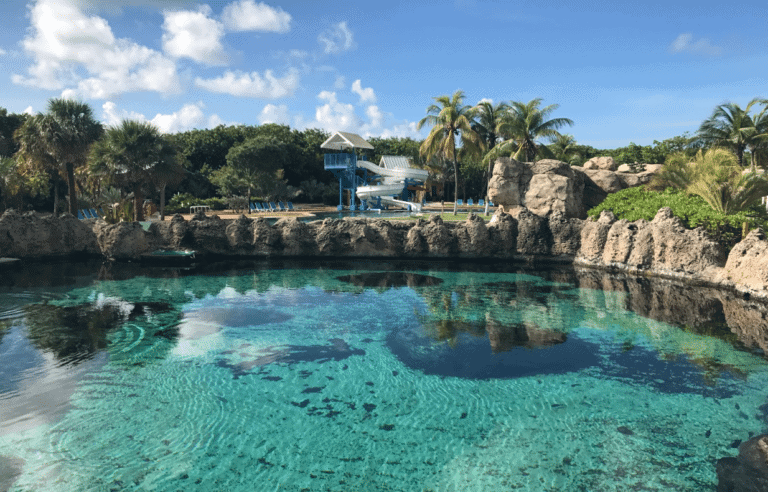 A clear, turquoise pool at the Cayman Turtle Centre is surrounded by rocky edges and lush, green foliage. In the background, palm trees and a small blue and white structure with a waterslide are visible under a partly cloudy sky. Discover more in this delightful review.