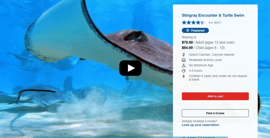 A close-up underwater view of stingrays swimming, with a booking panel on the right advertising a "Stingray Encounter & Turtle Swim" in Grand Cayman at the Cayman Turtle Centre, perfect for your next travel experience or cruise stop.