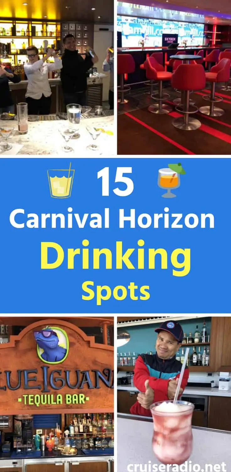 15 Carnival Horizon Drinking Spots