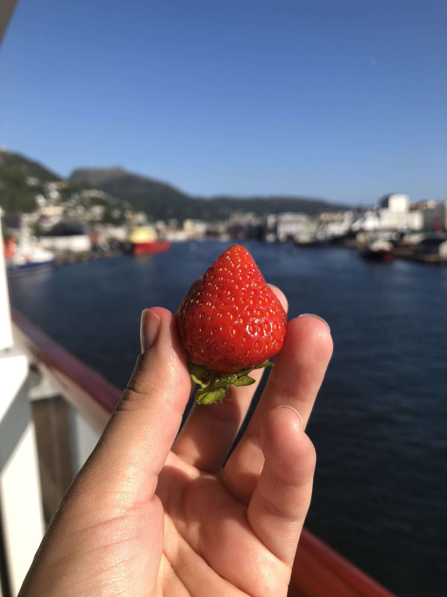 strawberry bergen norway viking sky