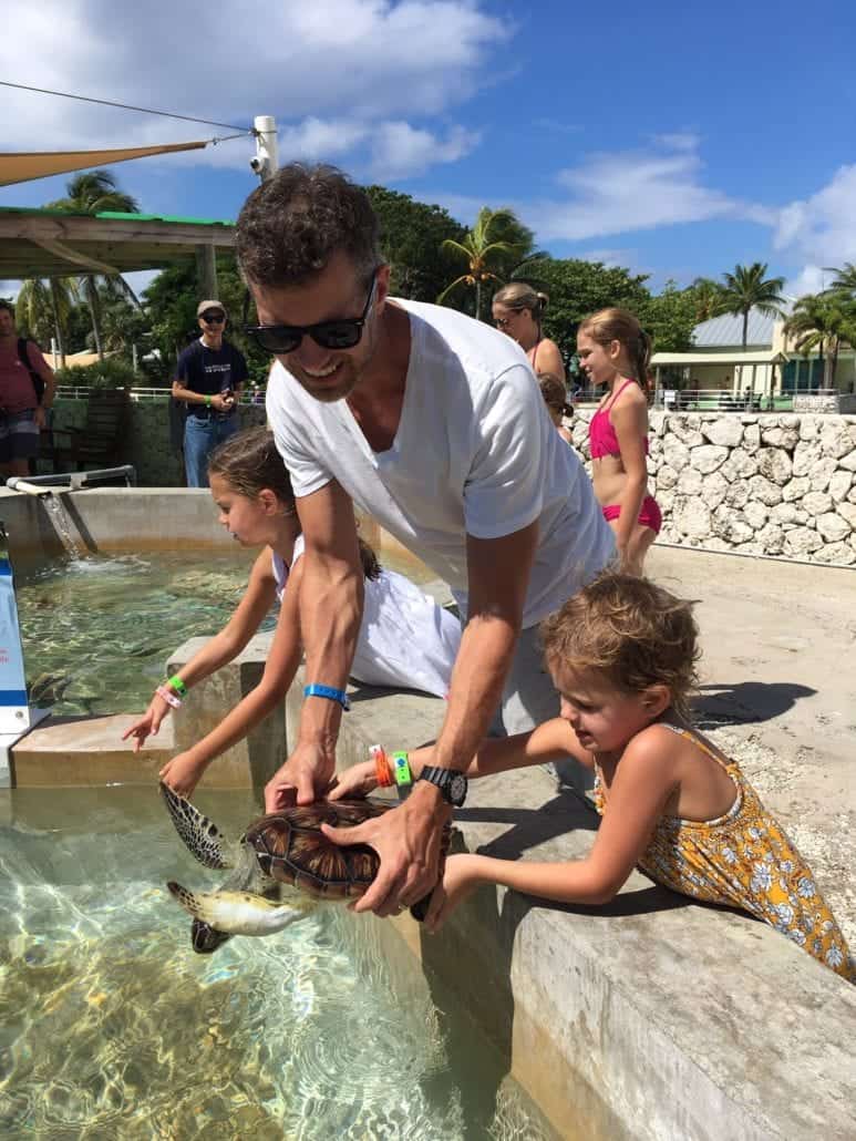 GRAND CAYMAN TURTLE FARM