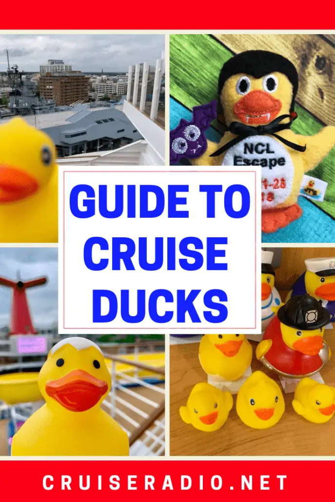 cruise duck rules