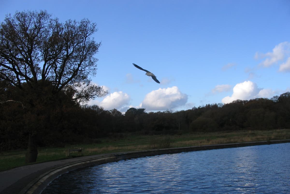 southampton common uk england flickr