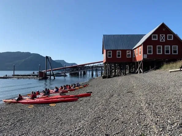 Alaska Cruise Icy Strait Point