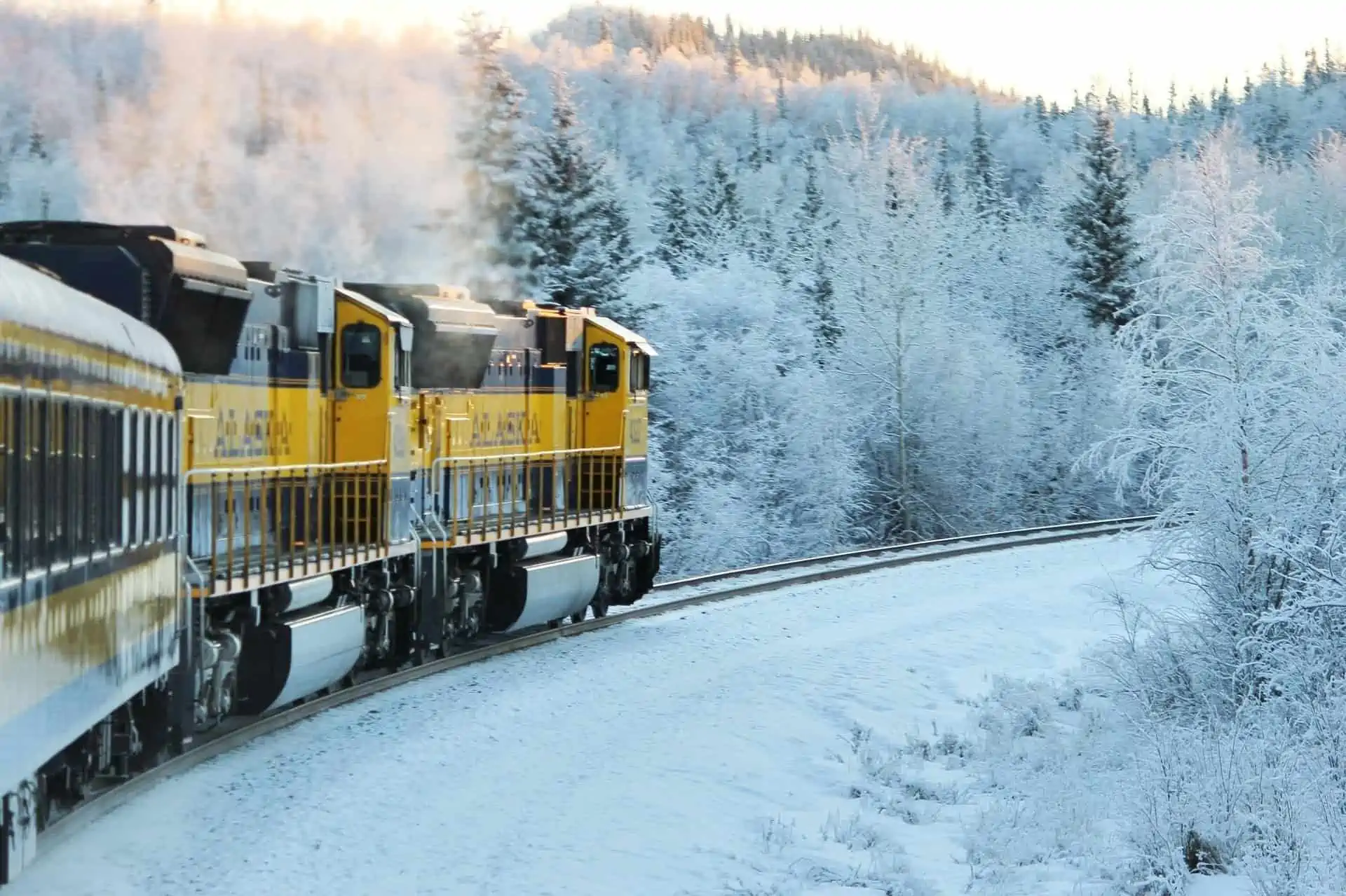 The Cruiser’s Guide To Alaskan Train Rides