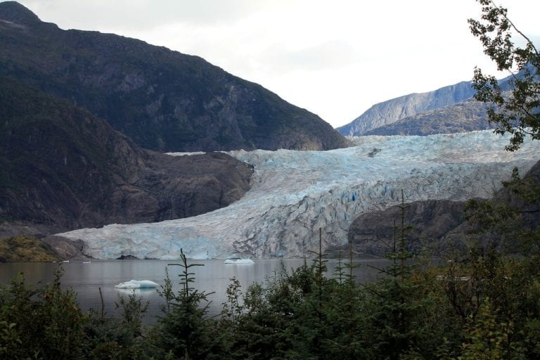 A large glacier flows down from the rocky mountains into a serene body of water near Mendenhall Glacier. Icebergs float in the water at the glacier's edge, while green foliage and small trees adorn the foreground. The slightly overcast sky adds a tranquil touch to this breathtaking landscape.