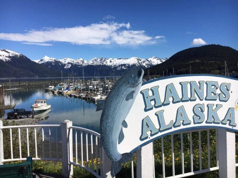 A sign reading "Haines, Alaska" with a fish illustration stands proudly in the foreground. Behind it lies a bustling cruise port marina, where several boats are docked. Snow-capped mountains rise majestically under a clear blue sky in the background.