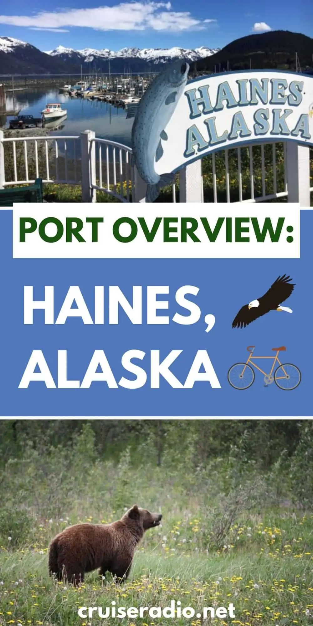 port overview haines alaska #alaska #cruise alaska cruise tips #travel #cruising