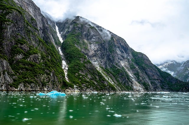 Tracy Arm Alaska Sawyer Glacier