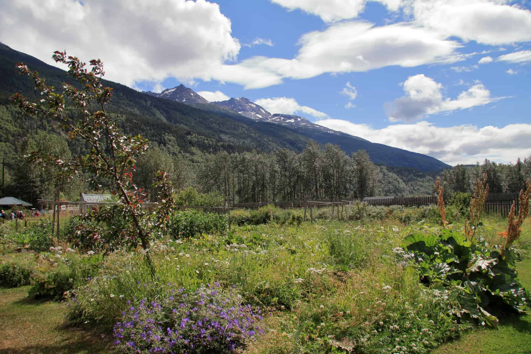 jewell gardens skagway alaska