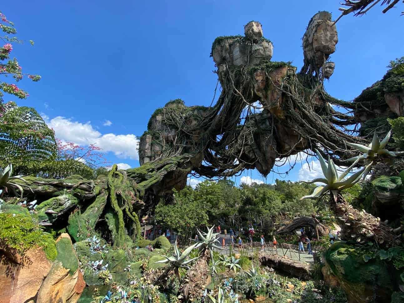 Travel During A Pandemic: Visiting Disney’s Animal Kingdom