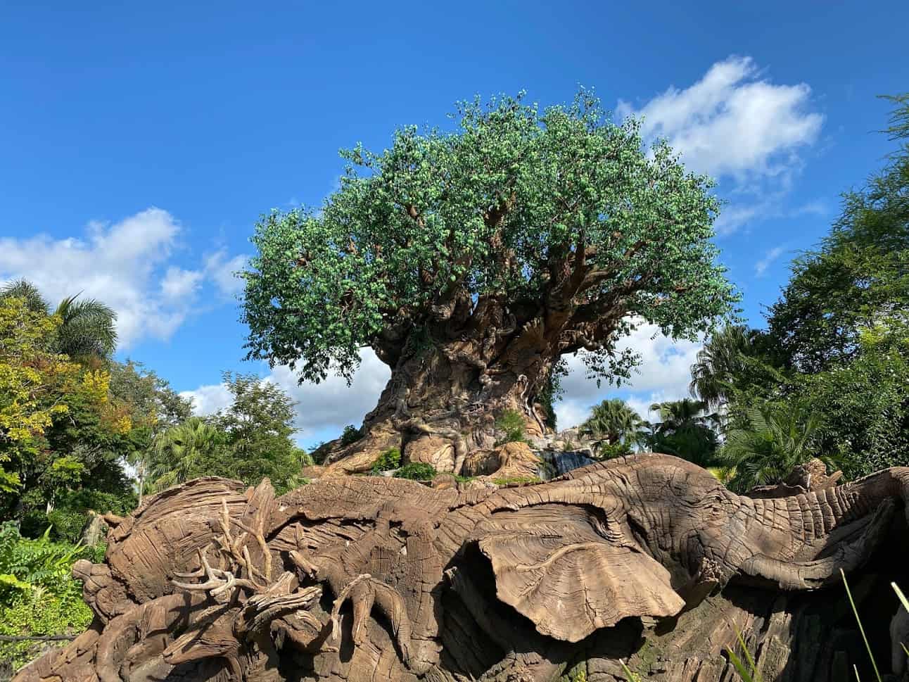 Disney Working on Yeti Problem at Animal Kingdom, Unexpectedly Updates Ride  - Inside the Magic