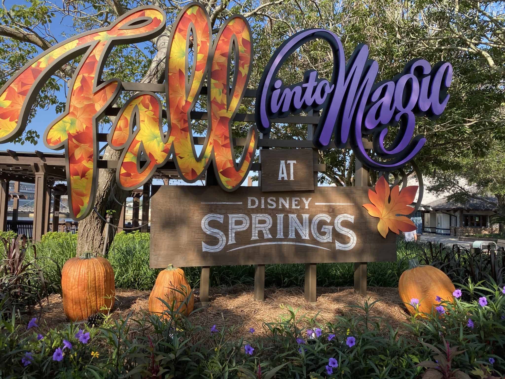 DISNEY SPRINGS 40 scaled