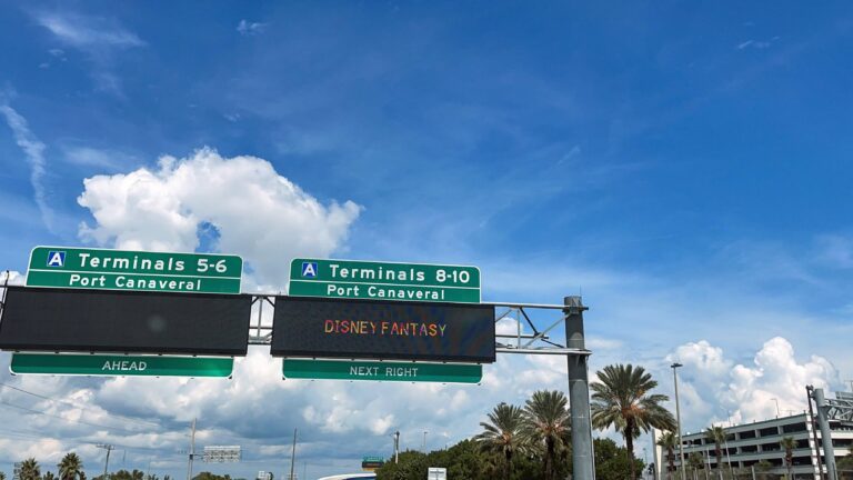 Highway signs above a road indicate directions to Terminals 5-6 and Terminals 8-10 at Port Canaveral. The sign for Terminals 8-10 also displays "DISNEY FANTASY." Palm trees are visible below.