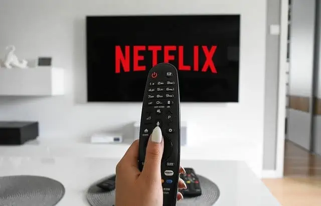 Netflix remote control Television