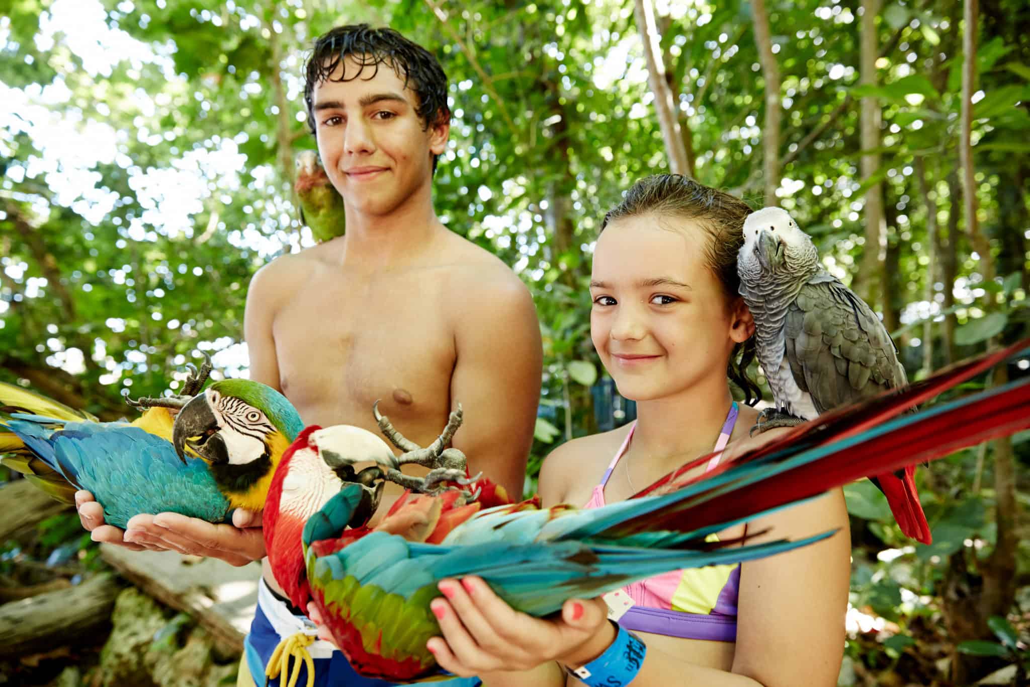 kids holding macaws ocho rios jamaica princess