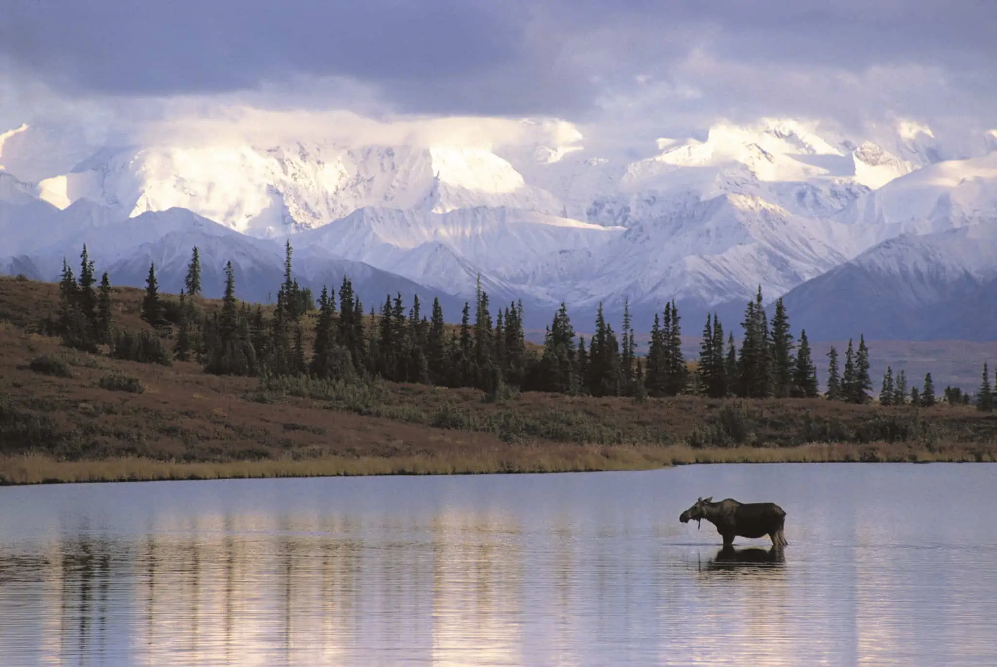 alaska cruise weather in mid may