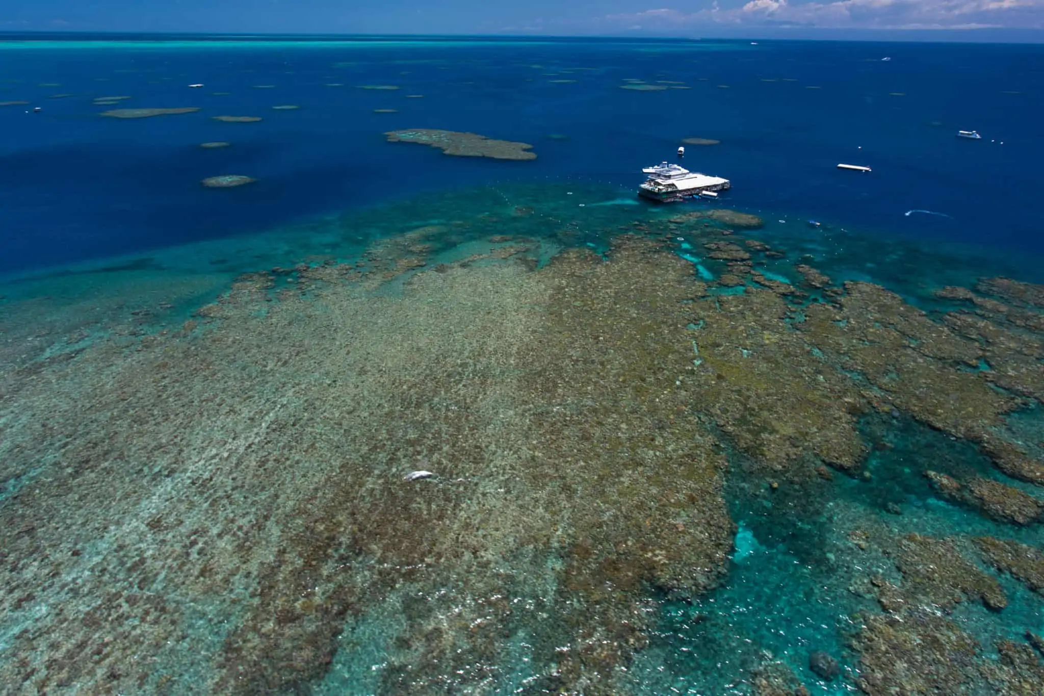 cairns australia reef