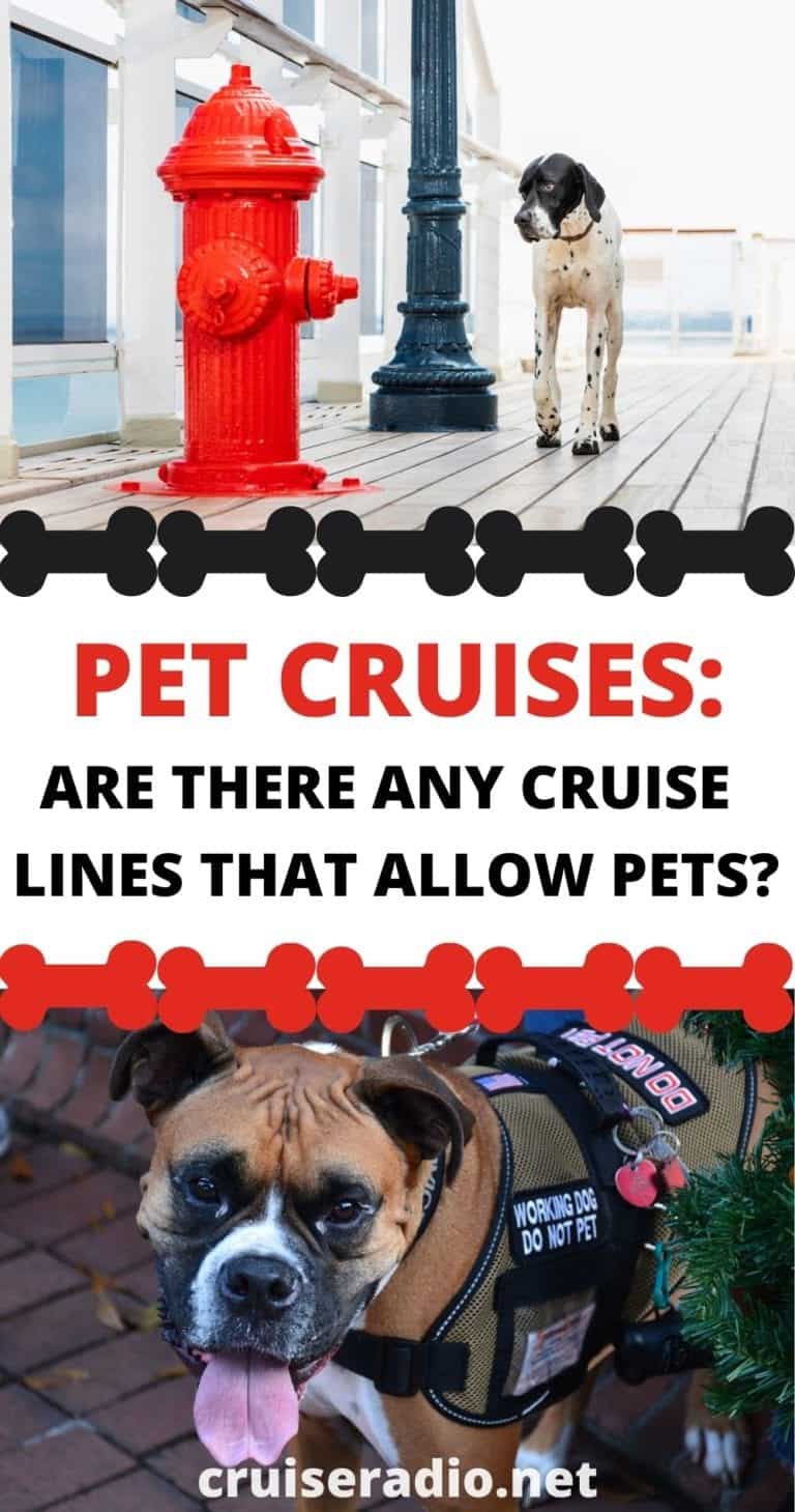 Pet Cruises Are There Any Cruise Lines That Allow Pets?