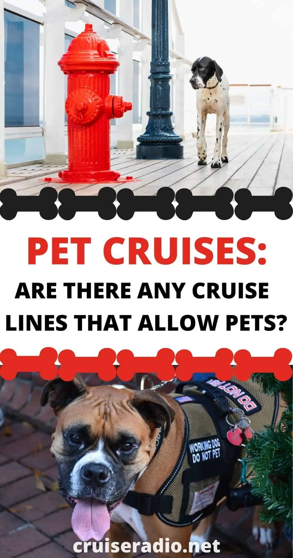 are there any cruise ships that allow dogs