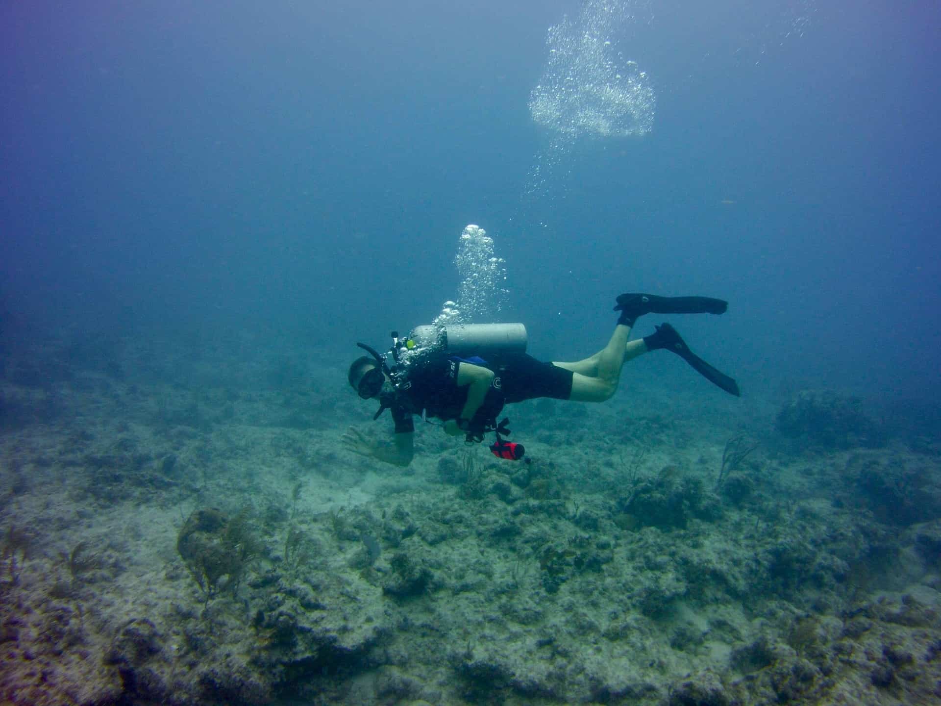 scuba diving florida barrier reef