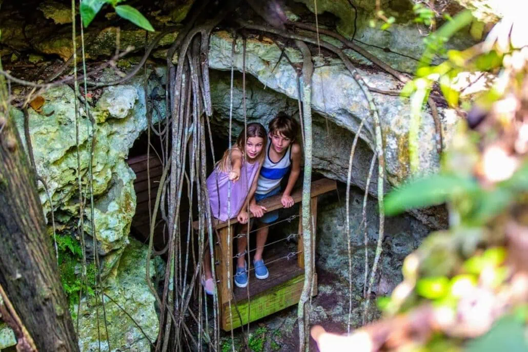 Two people stand on a wooden platform inside a cave in Nassau, surrounded by hanging roots and rocky walls. They gaze out from an opening framed with lush foliage, enhancing the natural and rustic atmosphere.