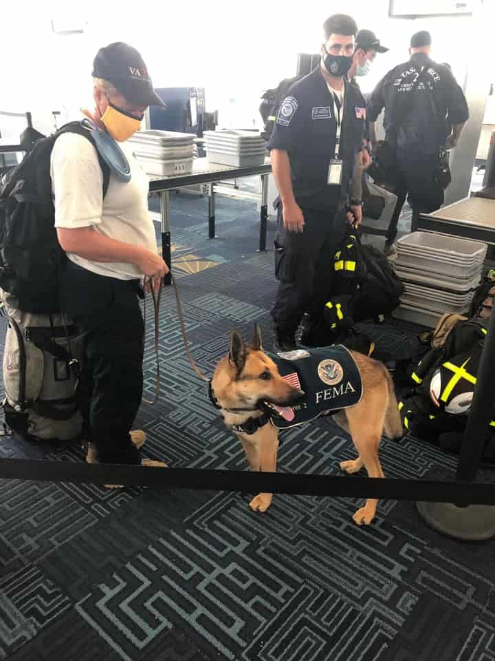 K-9 officer first responders miami