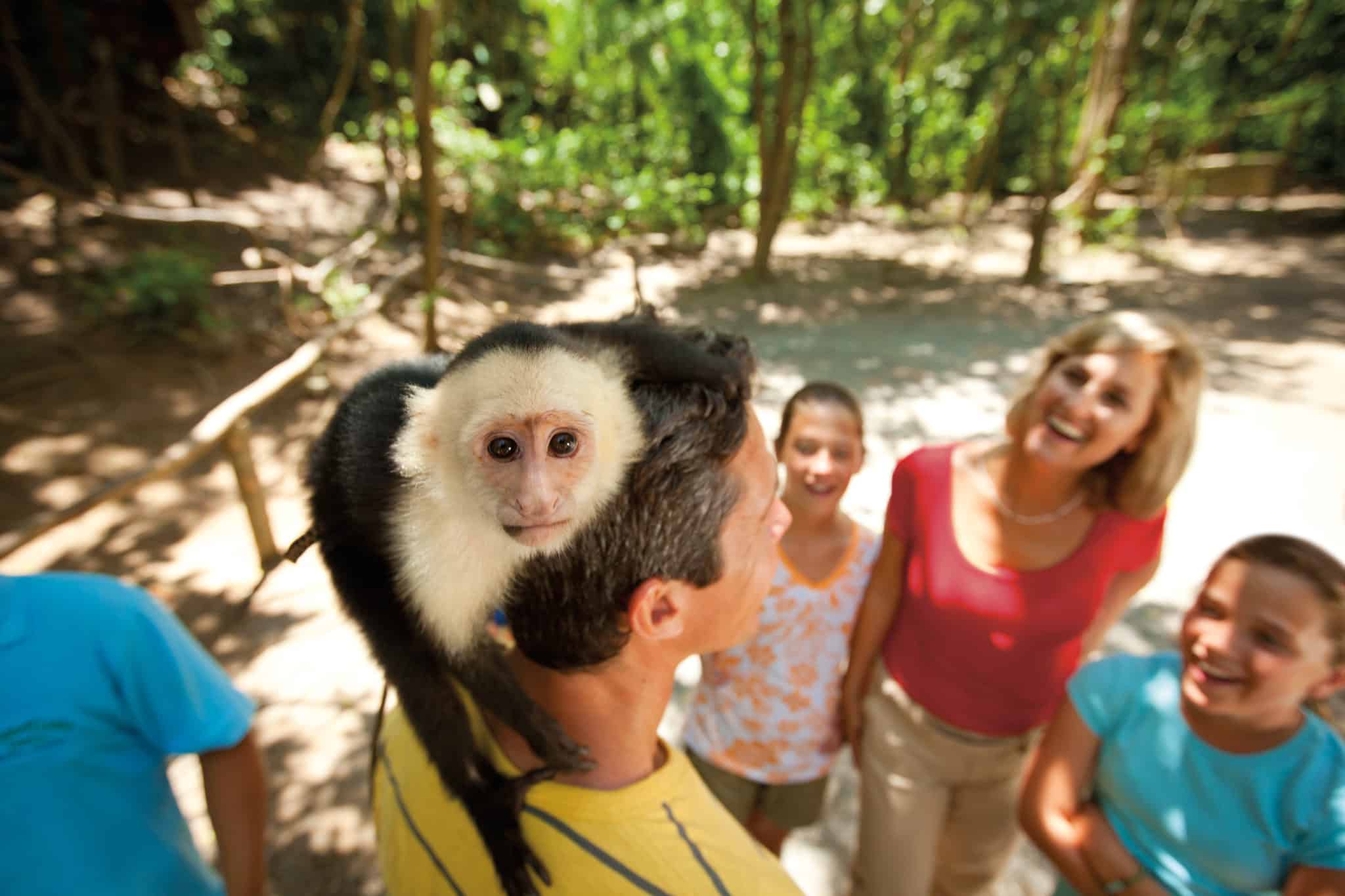 monkey roatan honduras carnival 