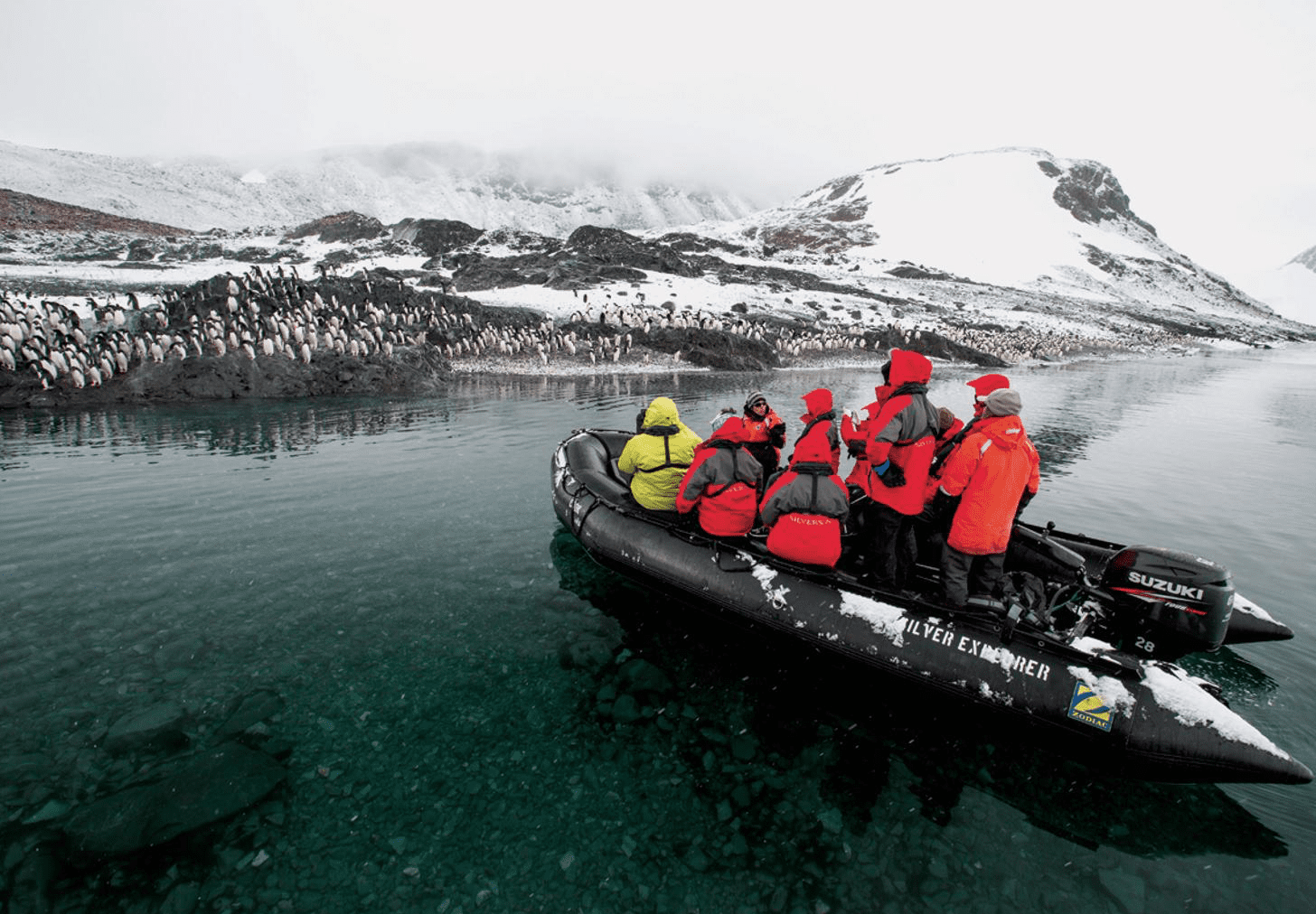 zodiac boat penguins antarctica