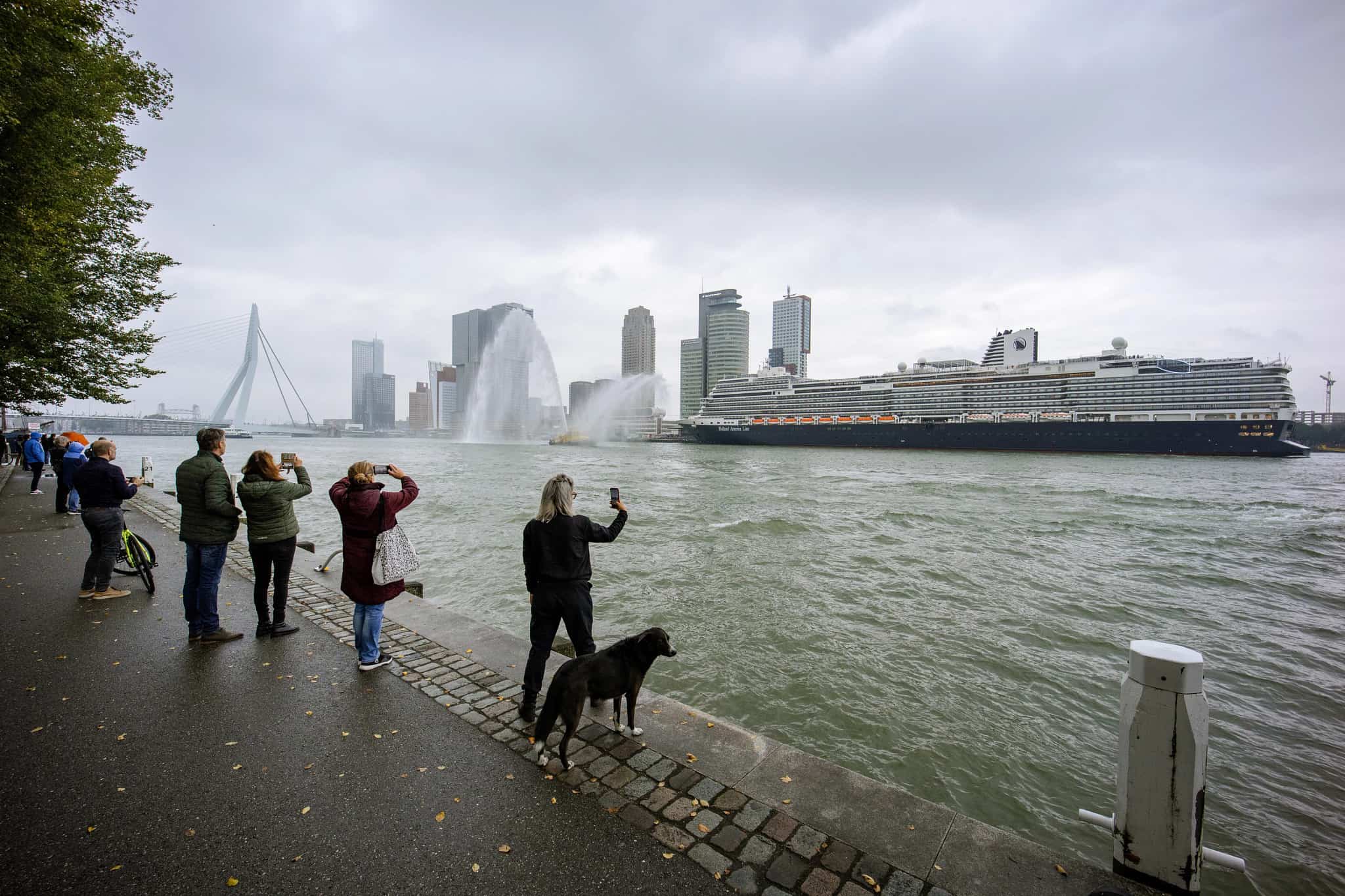 rotterdam holland america in rotterdam