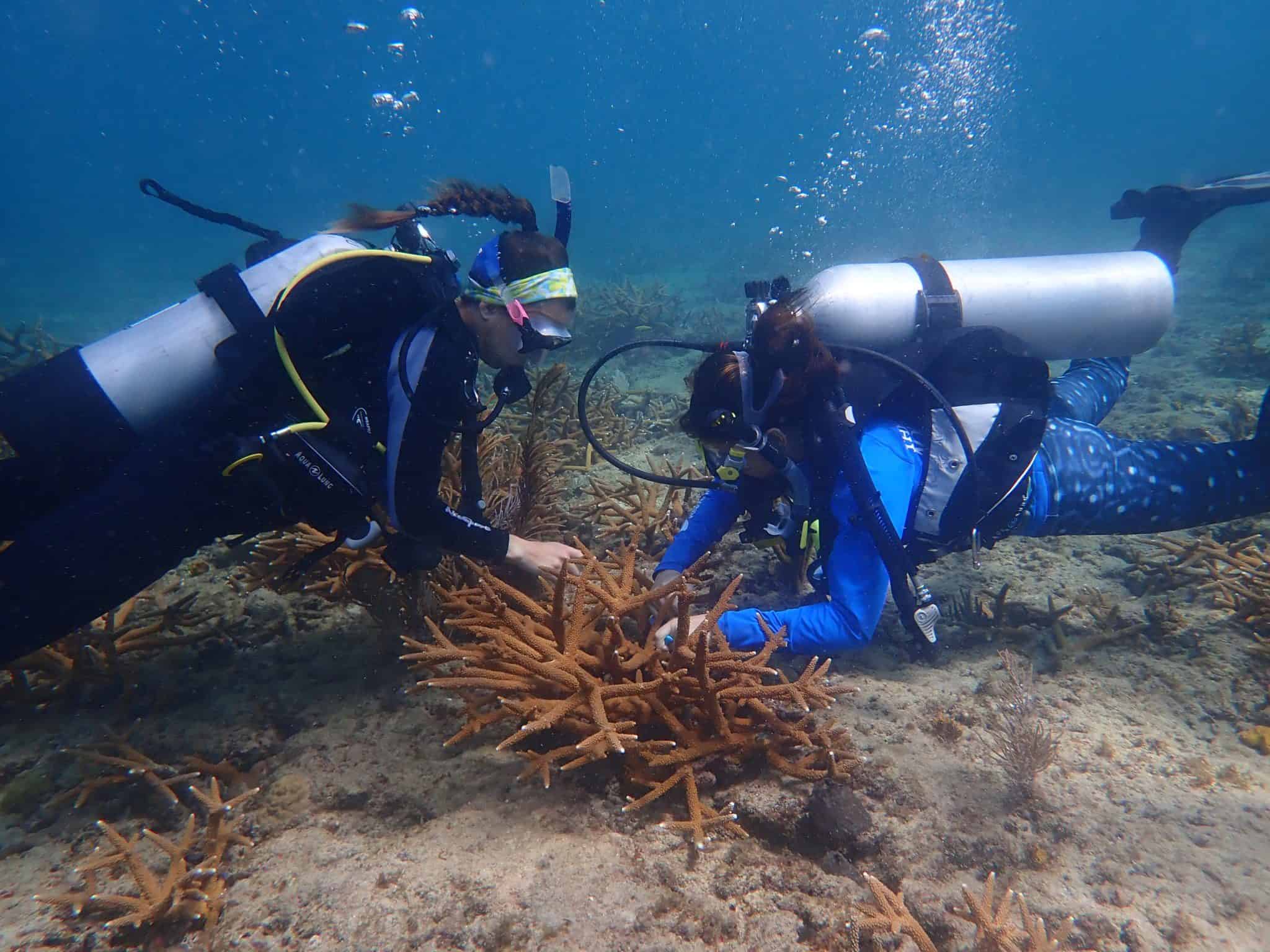 MARINE-LARVAL-ECOLOGY-AND-RECRUITMENT-LAB-AT-NOVA-SOUTHERN-UNIVERSITY